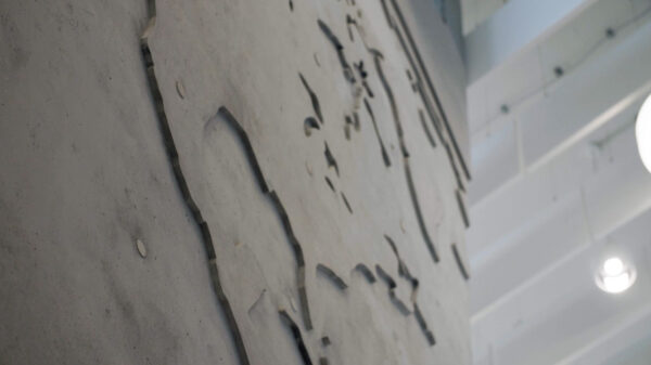 20201027_ZSC_SwissLifeArena_NoePlast_2.00_02_14_08.Standbild014